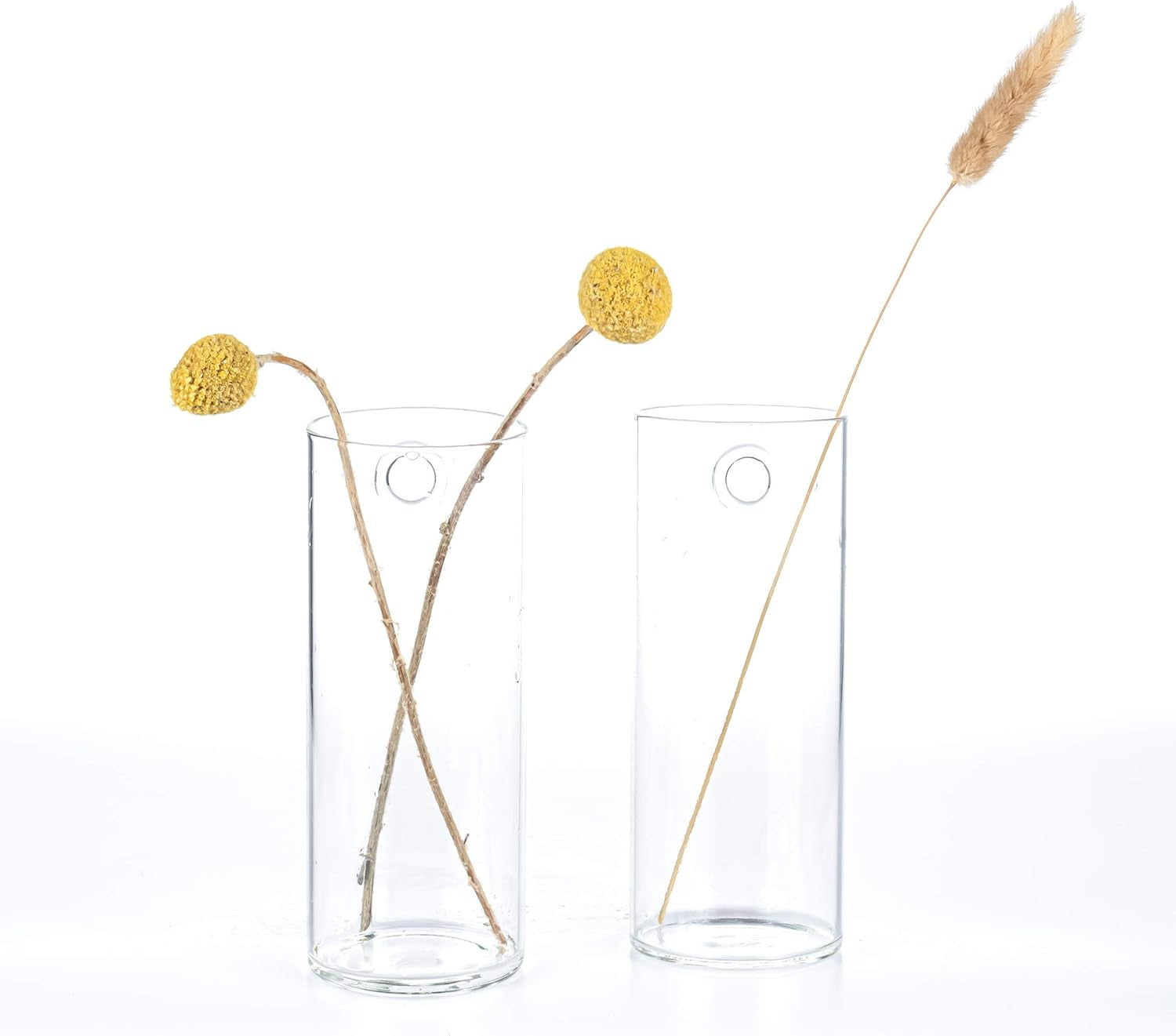 Short Cylinder Wall Planter 2 Pack, Clear Glass Hydroponic Tubes | Borosilicate Glass, Clear & Durable. Wall-Mounted. Ideal for Hydroponics, Air Plants, Cuttings. Great Gift for Plant Lovers.