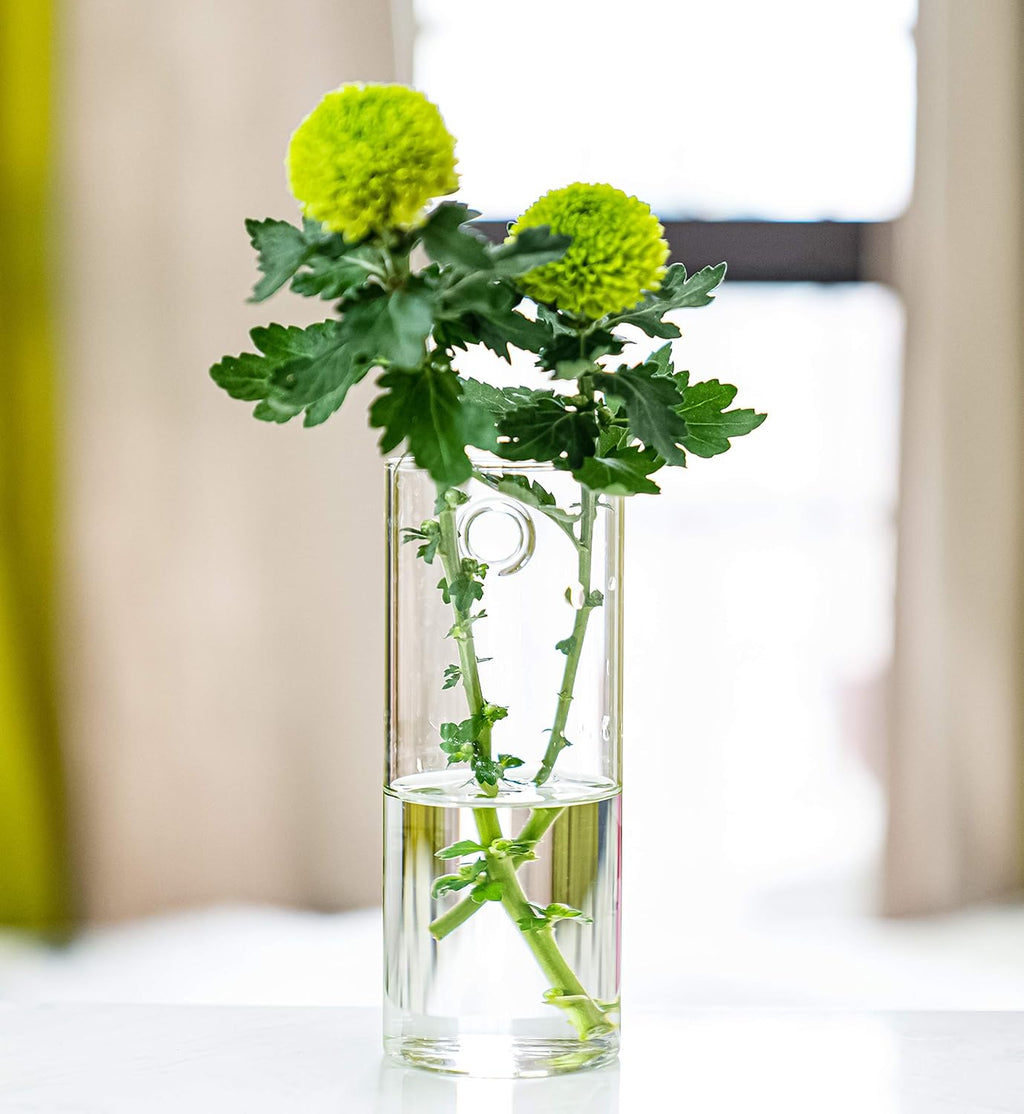Short Cylinder Wall Planter 2 Pack, Clear Glass Hydroponic Tubes | Borosilicate Glass, Clear & Durable. Wall-Mounted. Ideal for Hydroponics, Air Plants, Cuttings. Great Gift for Plant Lovers.